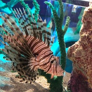 Meet your Posher, Sandy